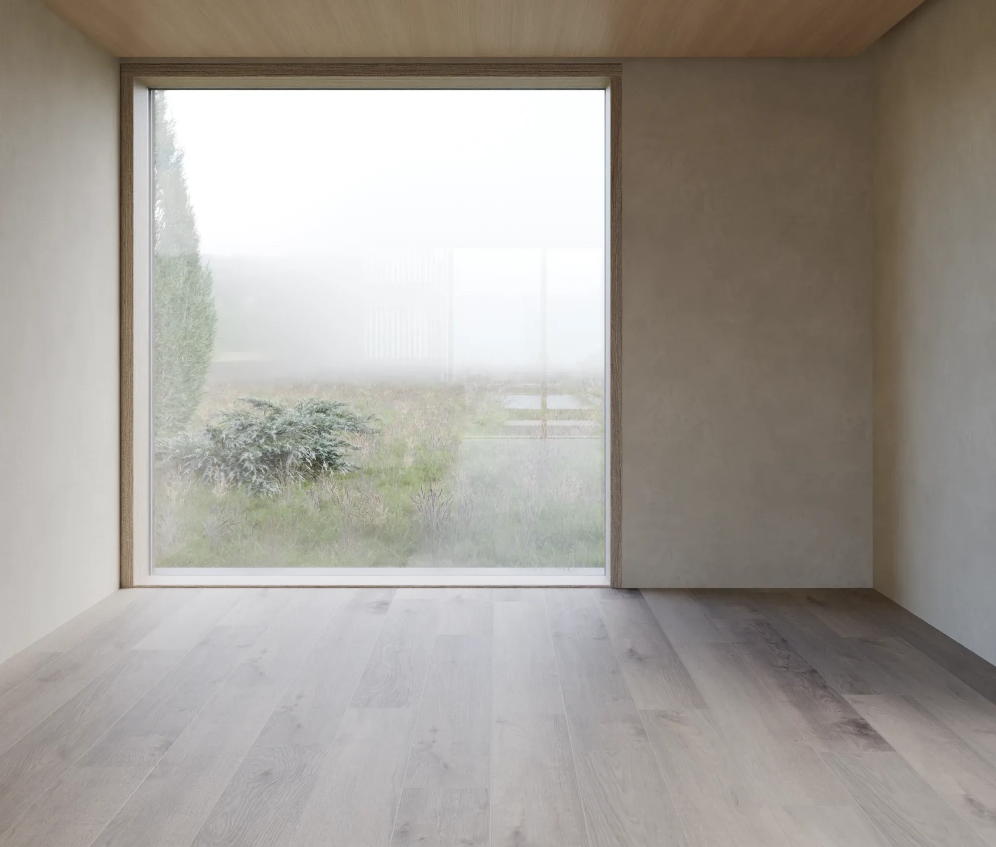 Window view